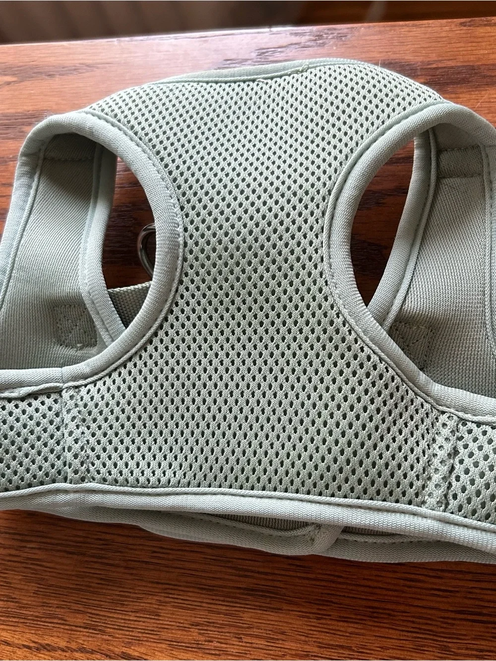 Sage Green Padded Dog Harness in Size small